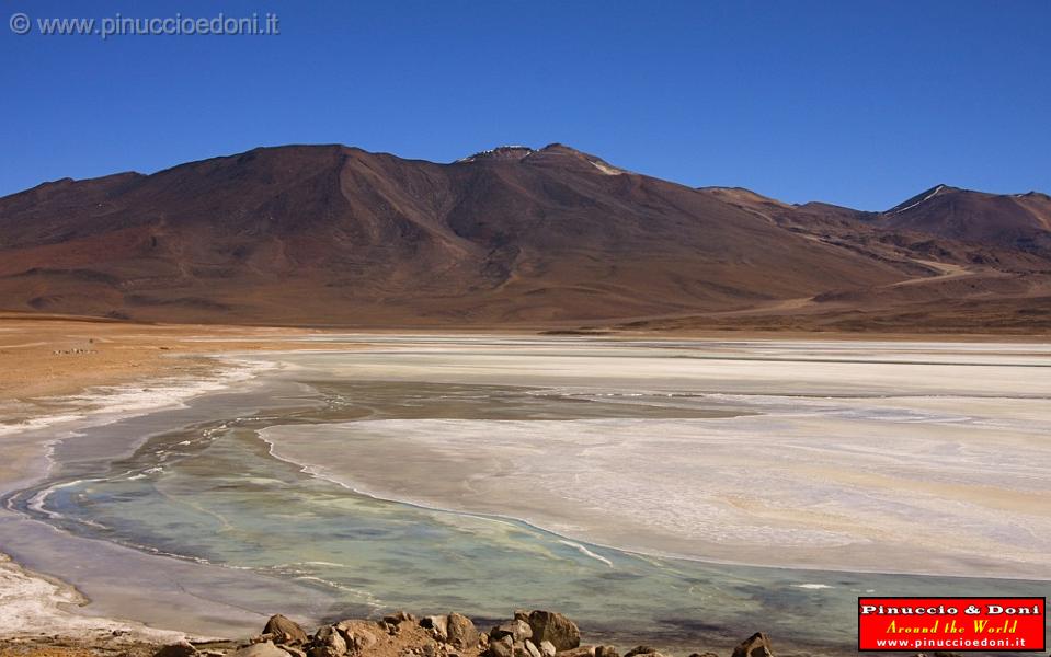 BOLIVIA 2 - Laguna Blanca - 04.jpg